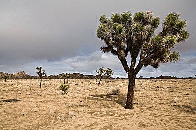 《火焰纹章无双 风花雪月》发布新TVCM 游戏6月24日发售