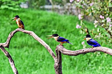 疯狂科学家姥爷瑞克正式加入《华纳大乱斗》