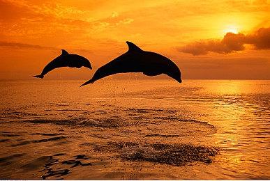 《海绵宝宝：宇宙摇摆》画面对比 Steam更胜一筹